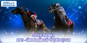 Thể Thao 8XBET - Sân Chơi Chuyên Nghiệp Chuẩn Quốc Tế 2026