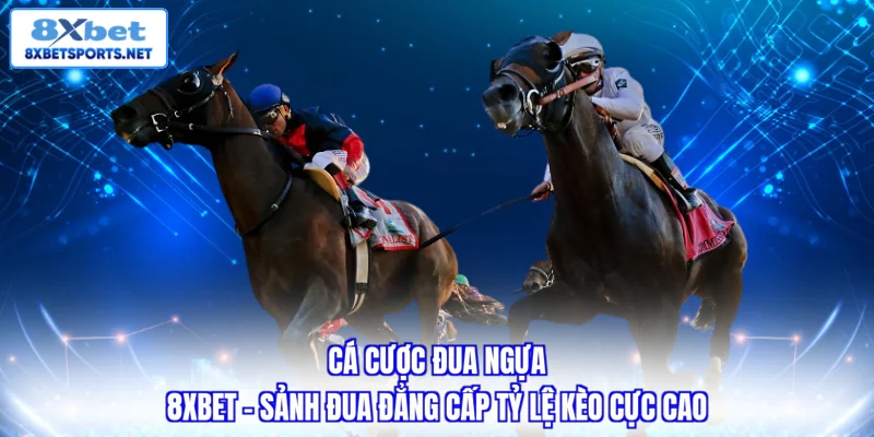 Cá Cược Đua Ngựa 8XBET - Đa Dạng Giải Đấu Chuyên Nghiệp Cá Cược Đua Ngựa 8XBET - Đa Dạng Giải Đấu Chuyên Nghiệp