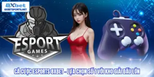 Thể Thao 8XBET - Sân Chơi Chuyên Nghiệp Chuẩn Quốc Tế 2026