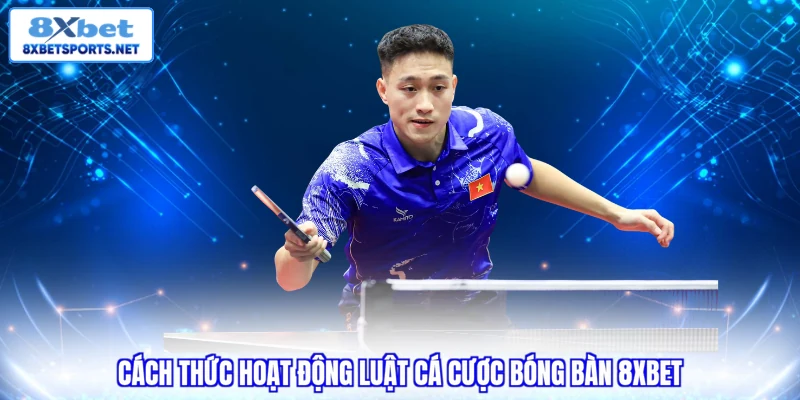 Cá Cược Bóng Bàn 8XBET - Hướng Dẫn Chơi Và Cách Tối Ưu Vốn Cá Cược Bóng Bàn 8XBET - Hướng Dẫn Chơi Và Cách Tối Ưu Vốn