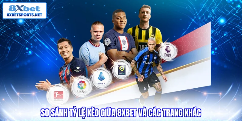 Trang Cá Độ Bóng Đá 8XBET - Nạp Rút Nhanh Và Uy Tín Hàng Đầu