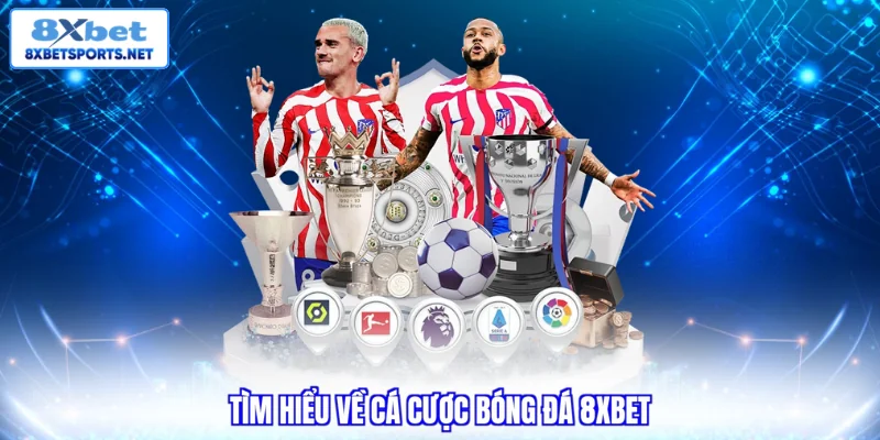 Cá Cược Bóng Đá 8XBET - Giải Mã Sức Hút Và Cách Chơi Từ A-Z