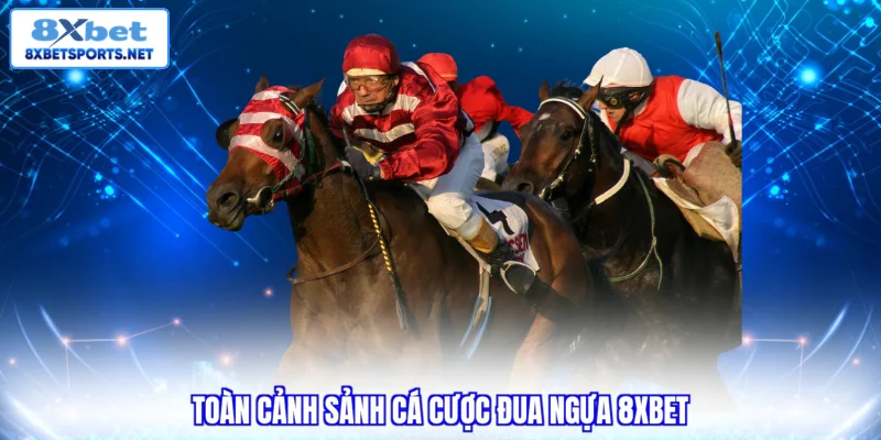 Cá Cược Đua Ngựa 8XBET - Đa Dạng Giải Đấu Chuyên Nghiệp Cá Cược Đua Ngựa 8XBET - Đa Dạng Giải Đấu Chuyên Nghiệp