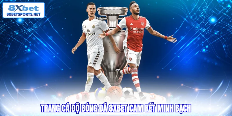 Trang Cá Độ Bóng Đá 8XBET - Nạp Rút Nhanh Và Uy Tín Hàng Đầu