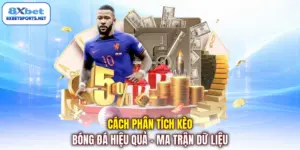 8XBET 🎖️ Link Truy Cập Trang Chủ 8XBET Chính Hãng 2026