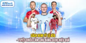 8XBET 🎖️ Link Truy Cập Trang Chủ 8XBET Chính Hãng 2026