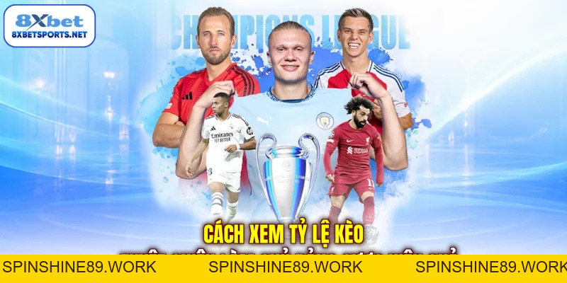 Cách Xem Tỷ Lệ Kèo - Hướng Dẫn Chi Tiết Cho Người Mới