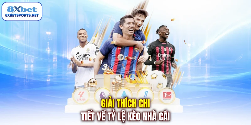 Cách Xem Tỷ Lệ Kèo - Hướng Dẫn Chi Tiết Cho Người Mới